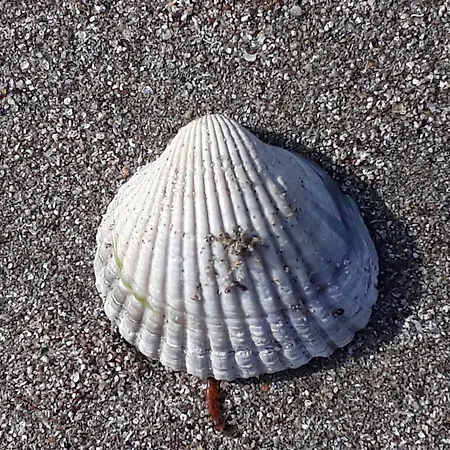 Style Place Къща за гости 3*