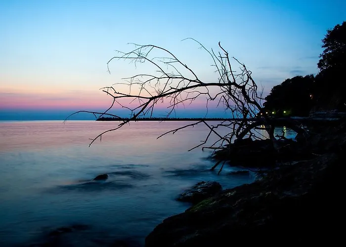 Style Place 招待所 3*